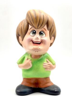 HUCHA SHAGGY